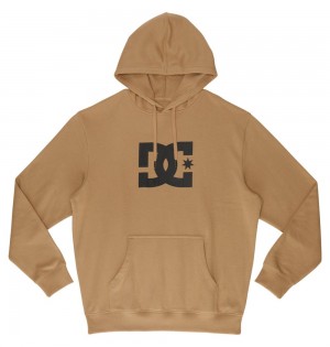 Men's DC Star Hoodie Brown | UK 37290XWFD