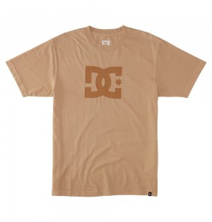 Men's DC Star Pigment Dye HSS T-Shirt Brown | UK 26385VLGU