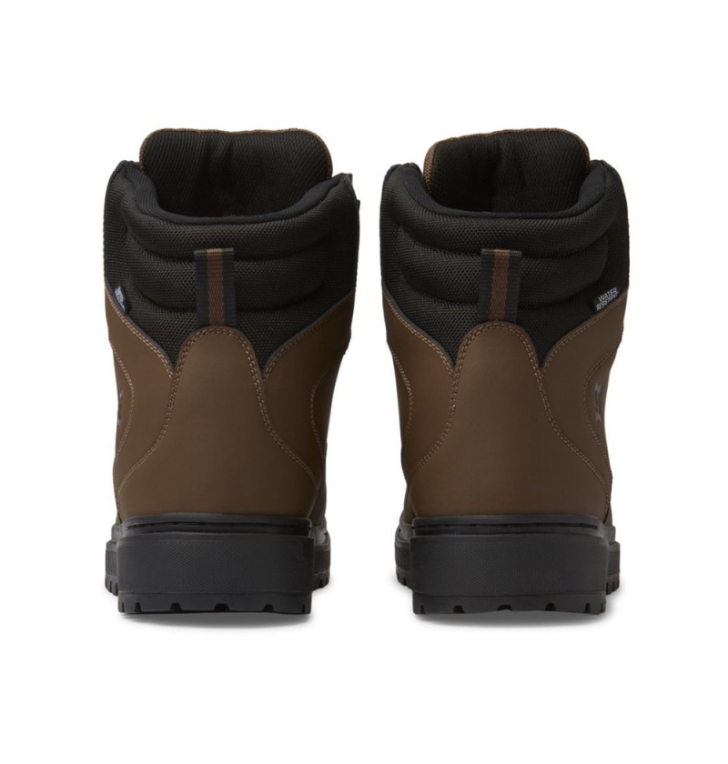 Men's DC Peary Tr Winter Boots Dark Chocolate | UK 80249DSMV