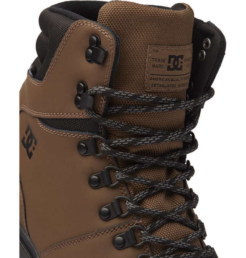 Men's DC Peary Tr Winter Boots Dark Chocolate | UK 80249DSMV