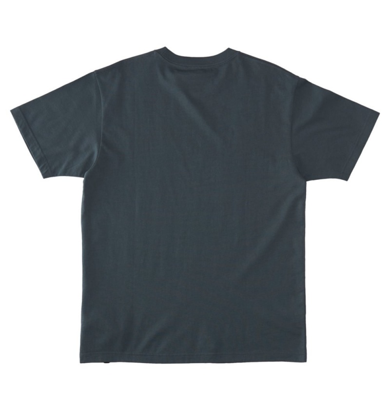 Men's DC Star HSS T-Shirt Grey | UK 10875GUDE