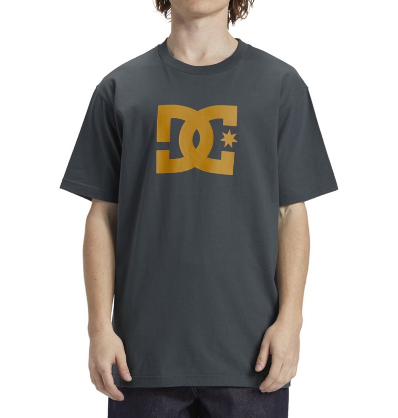 Men's DC Star HSS T-Shirt Grey | UK 10875GUDE