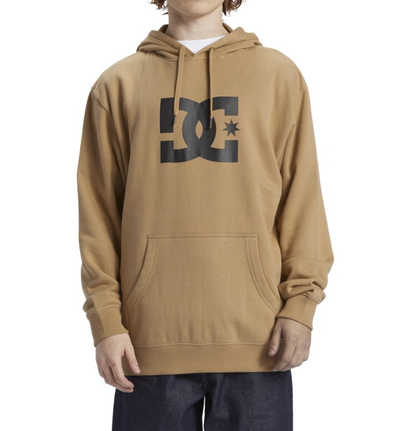 Men's DC Star Hoodie Brown | UK 37290XWFD